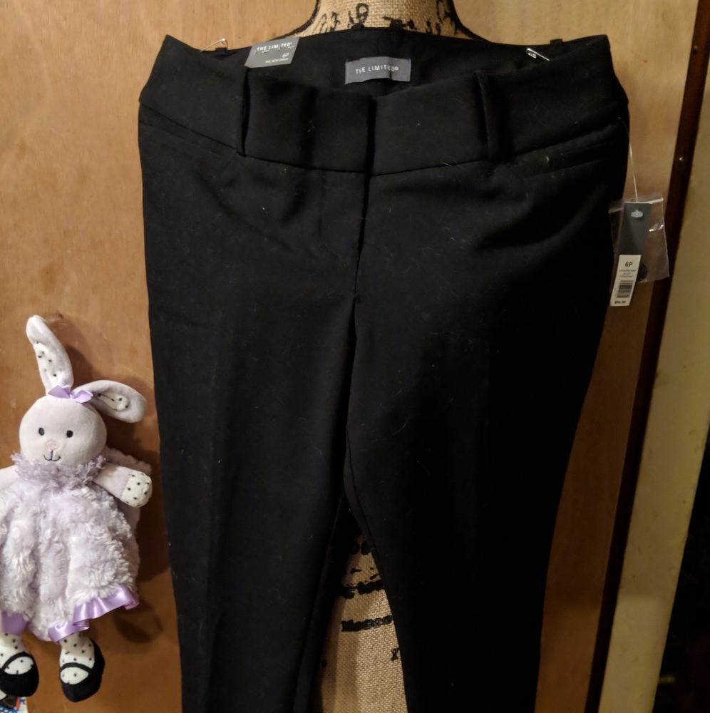 Woman's dress pants